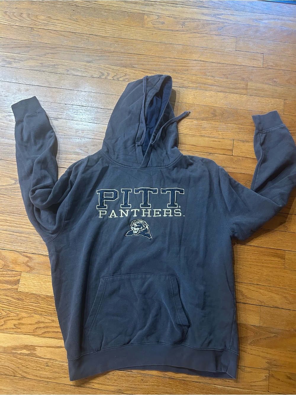 Pitt panthers hoodie
